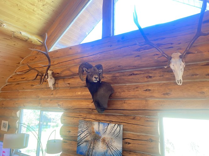 IMG_2589.jpeg IMG_2589.jpeg