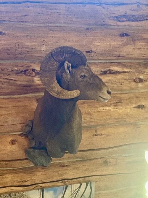 IMG_2593.jpeg IMG_2593.jpeg