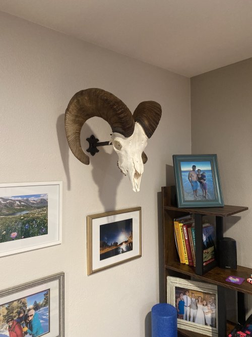 IMG_2239.jpeg IMG_2239.jpeg