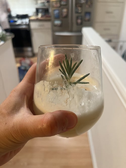 IMG_0276.jpeg IMG_0276.jpeg