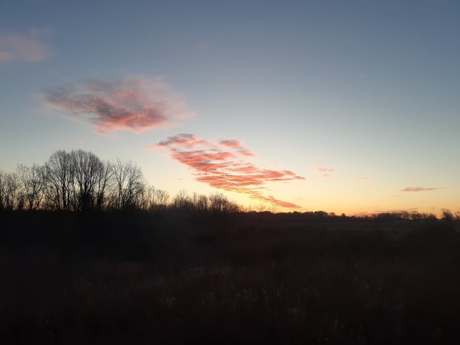 20251117_072659.jpg