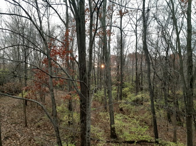 20251117_170507.jpg