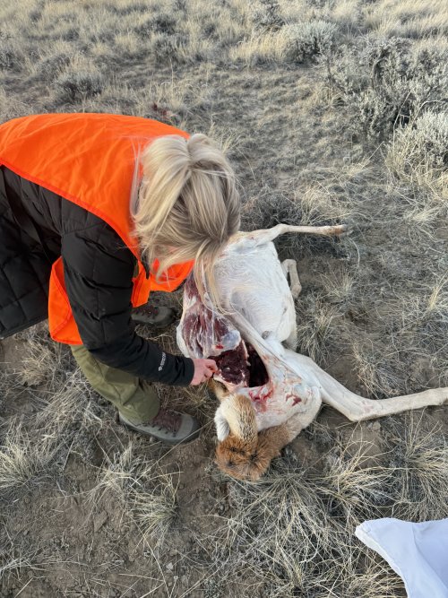 IMG_8031.jpeg IMG_8031.jpeg