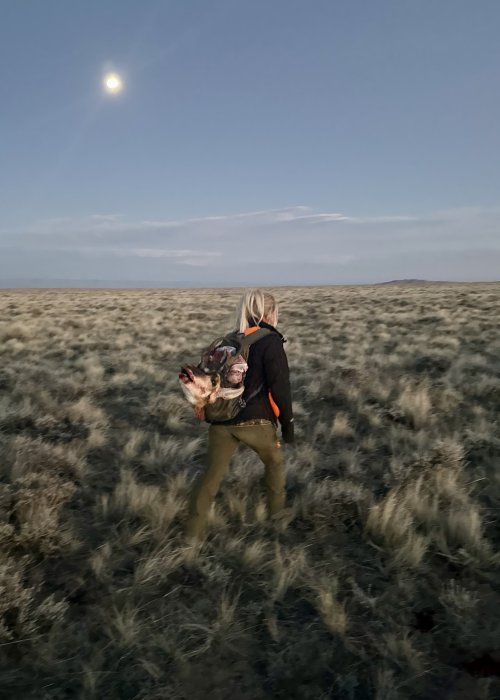 IMG_8039.jpeg IMG_8039.jpeg