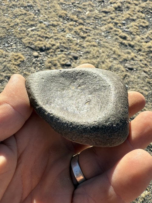 IMG_8007.jpeg IMG_8007.jpeg