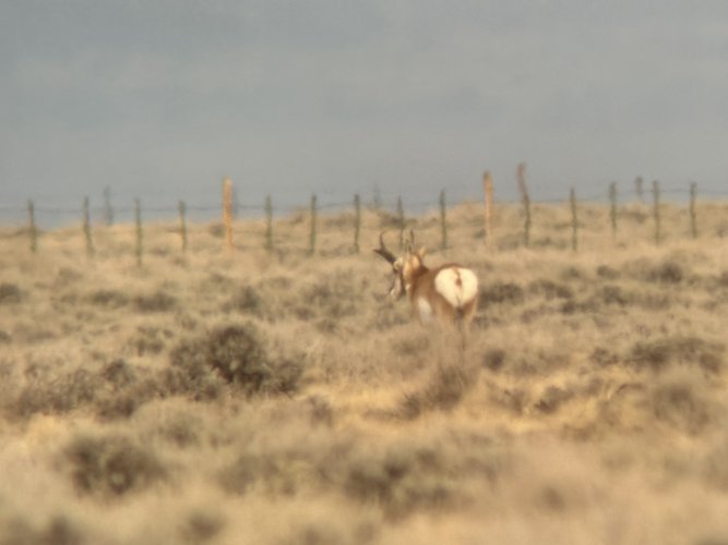 IMG_8088.jpeg IMG_8088.jpeg