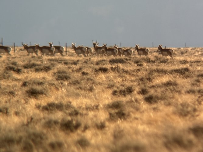 IMG_8110.jpeg IMG_8110.jpeg