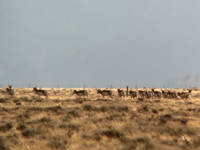 IMG_8103.jpeg IMG_8103.jpeg