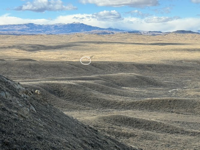 IMG_8144.jpeg IMG_8144.jpeg