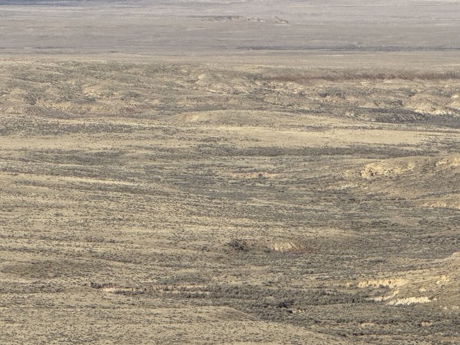 IMG_8149.jpeg IMG_8149.jpeg