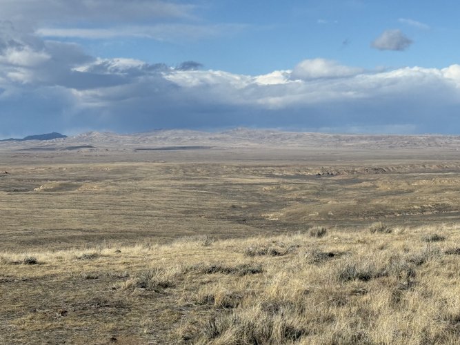 IMG_8148.jpeg IMG_8148.jpeg