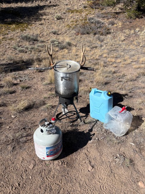 IMG_1543.jpeg IMG_1543.jpeg