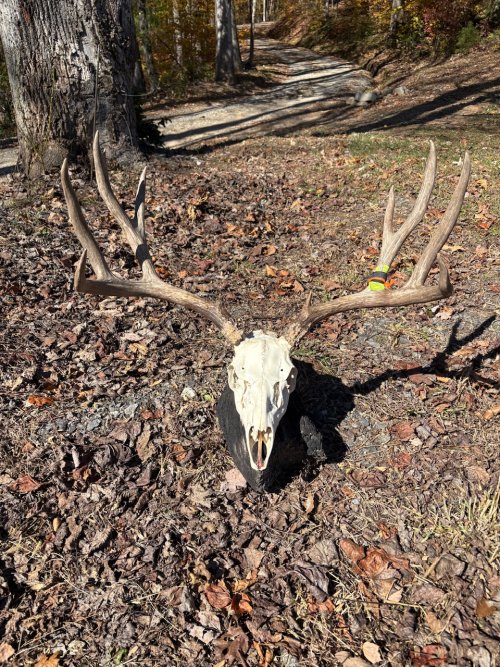 IMG_1586.jpeg IMG_1586.jpeg