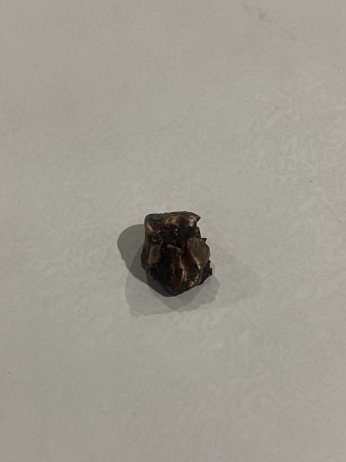 IMG_8161.jpeg IMG_8161.jpeg