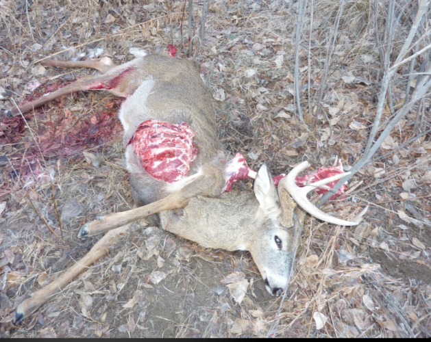 Screenshot_20251120-104556_OneDrive.png Screenshot_20251120-104556_OneDrive.png