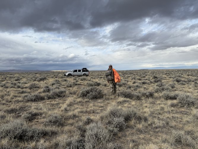 IMG_8240.jpeg IMG_8240.jpeg