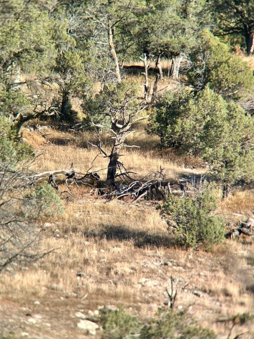 IMG_8640.jpg IMG_8640.jpg