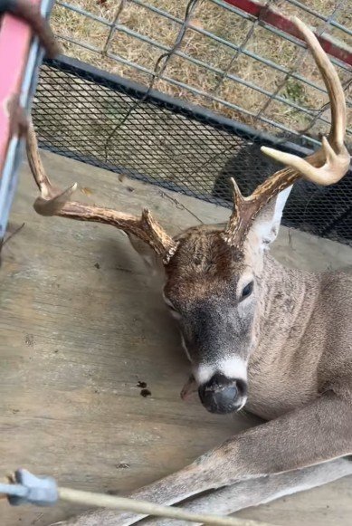 Screenshot 2025-11-22 100837.jpg