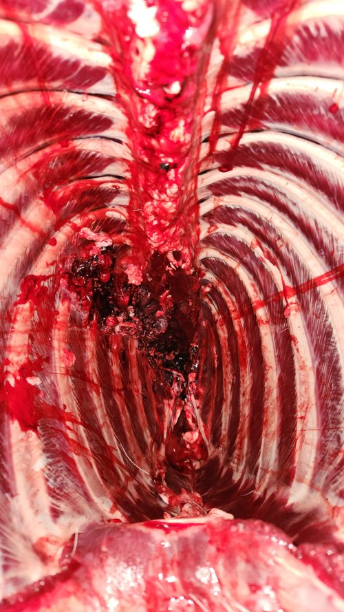 20251115_105352.jpg 20251115_105352.jpg