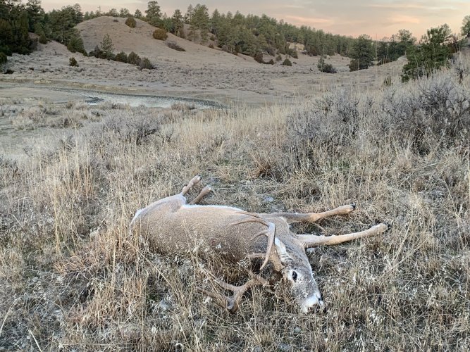 IMG_1312.jpeg IMG_1312.jpeg