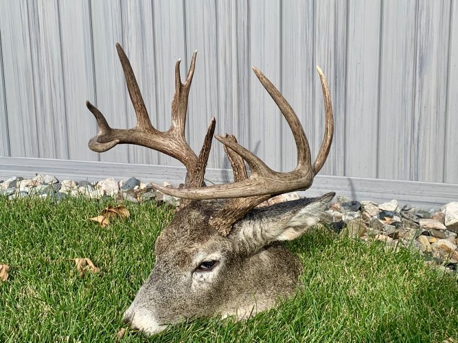 IMG_1334.jpeg IMG_1334.jpeg