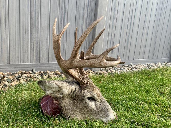 IMG_1335.jpeg IMG_1335.jpeg