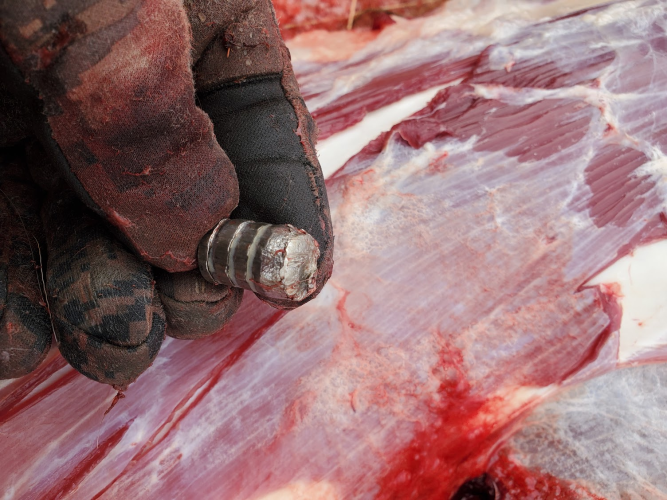 1763849789588.png 1763849789588.png