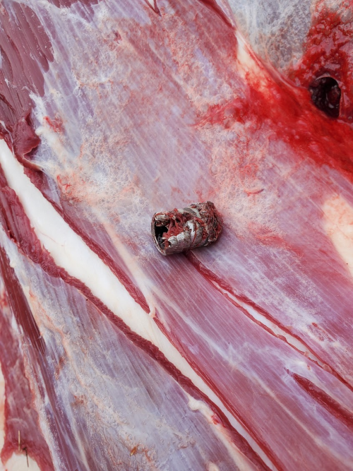 1763849848054.png 1763849848054.png