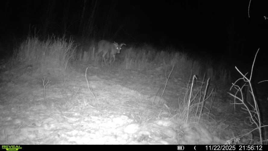 016579001531065-64-3-11222025215612-SYFW01720.jpeg 016579001531065-64-3-11222025215612-SYFW01720.jpeg