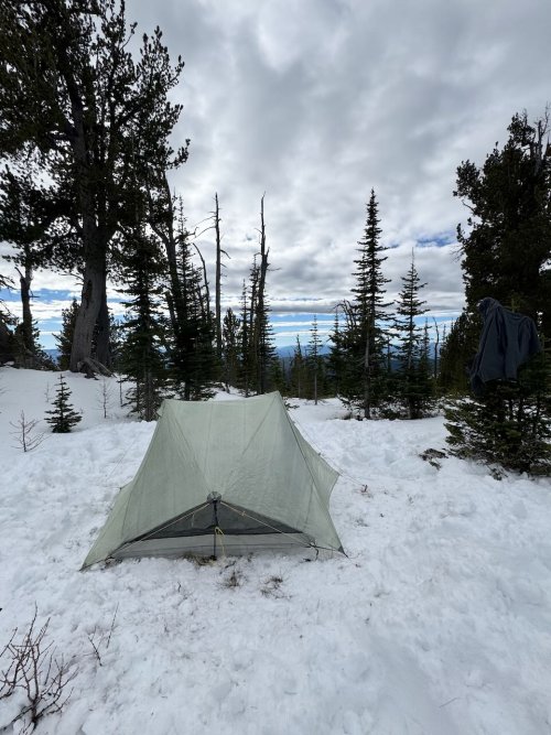 IMG_7298.jpeg IMG_7298.jpeg