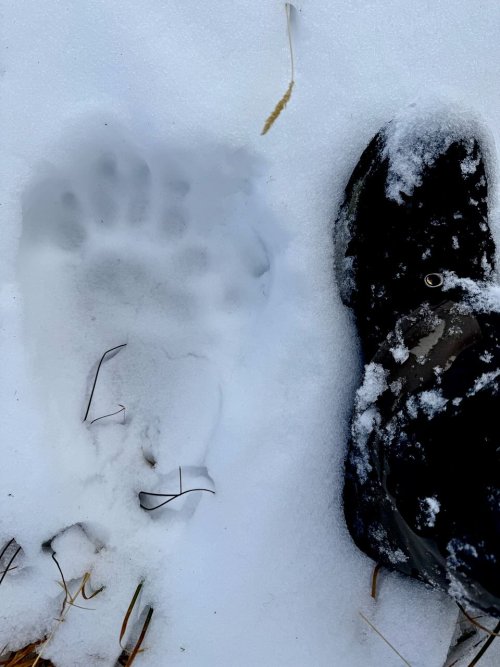 IMG_7307.jpeg IMG_7307.jpeg