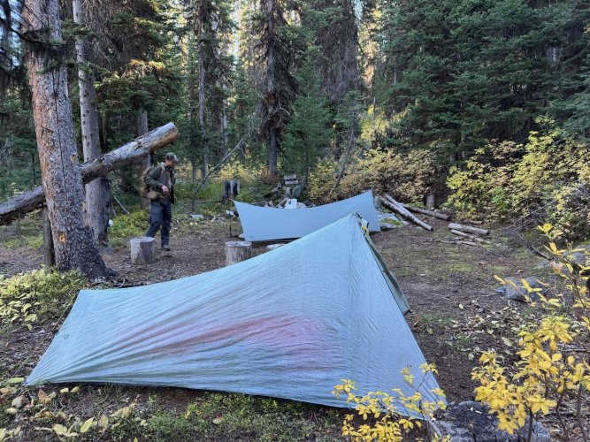 IMG_7016.jpeg IMG_7016.jpeg