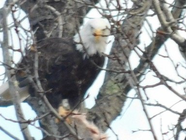 IMG_6171.jpeg
