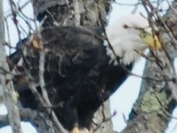 IMG_6165.jpeg