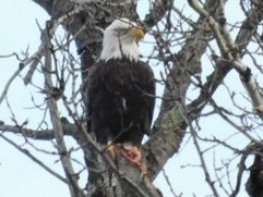 IMG_6160.jpeg