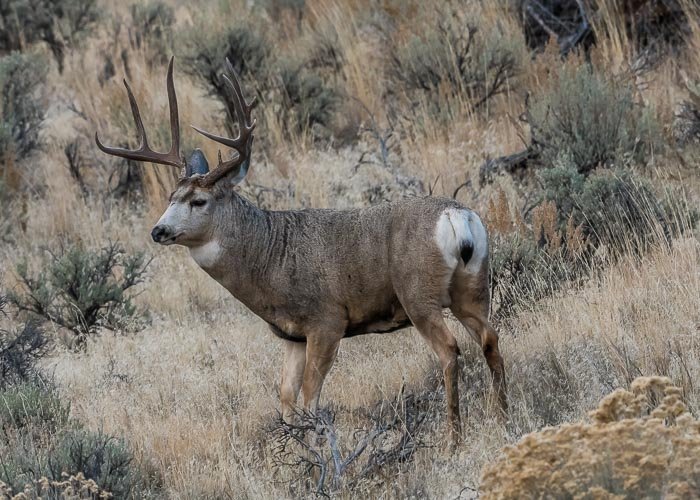 November 2025 a-6409.jpg