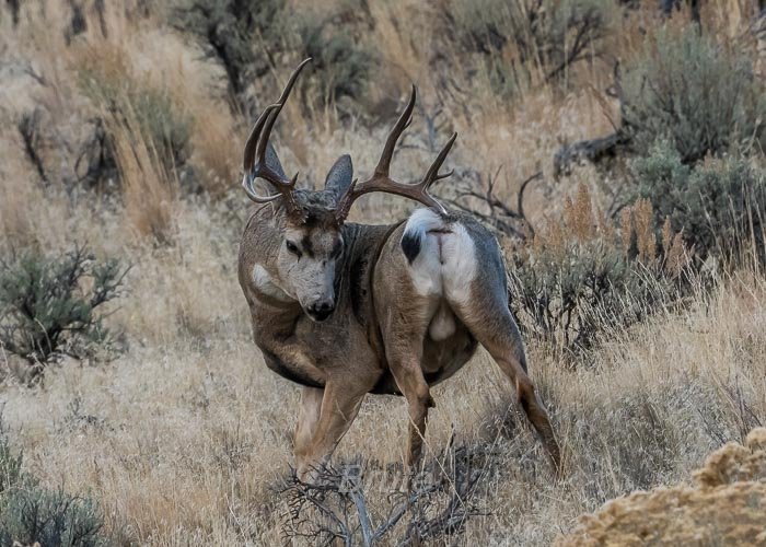 November 2025 a-6421.jpg