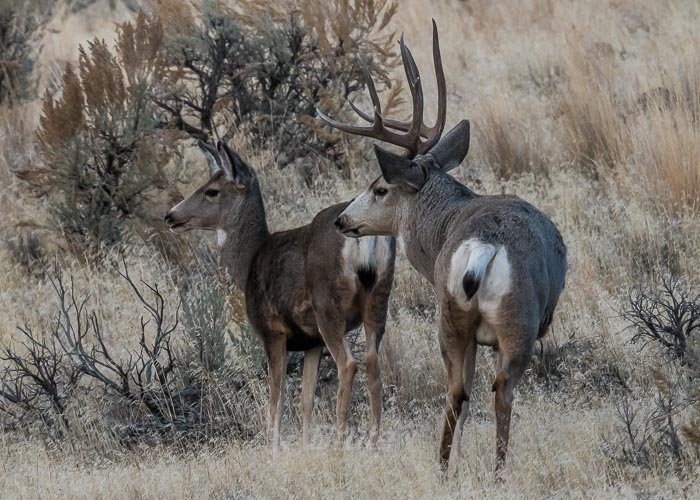 November 2025 a-6449.jpg