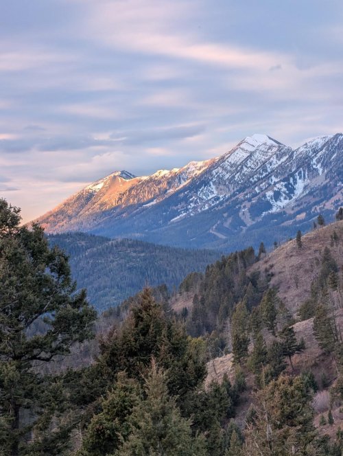 Sunrise Nov 23, 2025.jpg