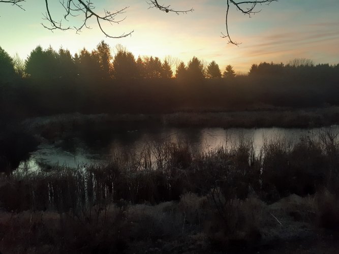 20251124_064151.jpg