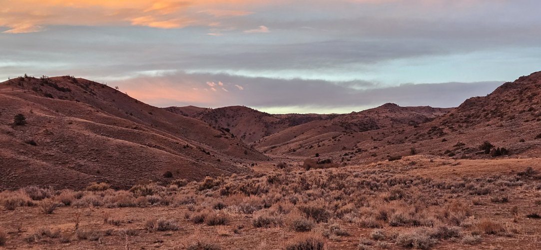 20251123_065334 copy.jpg