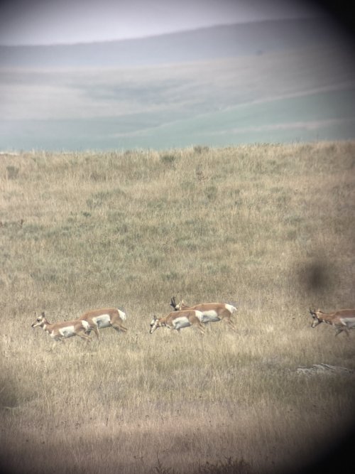 IMG_1978.JPG IMG_1978.JPG