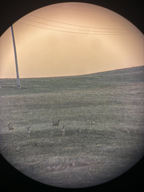 IMG_1984.JPG IMG_1984.JPG