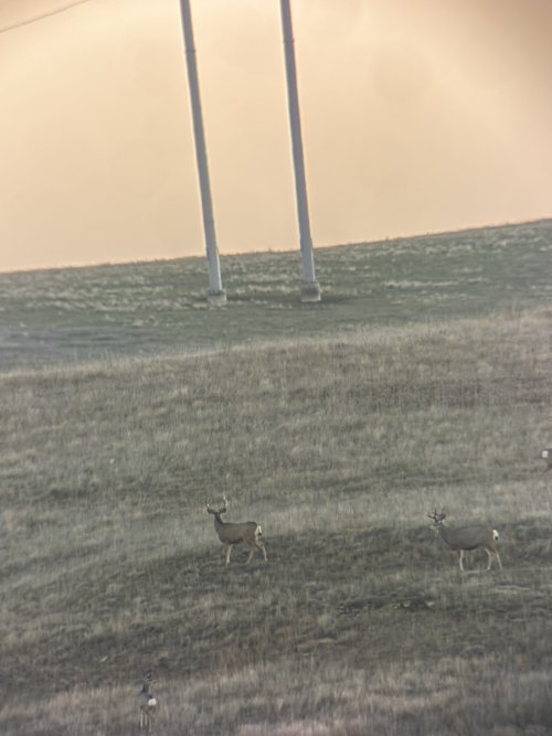 IMG_1982.JPG IMG_1982.JPG