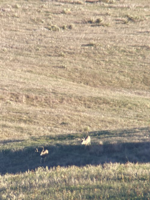 IMG_1986.JPG IMG_1986.JPG