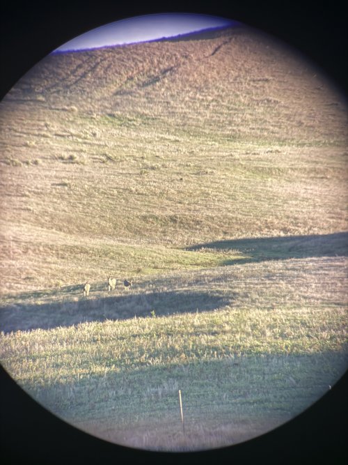 IMG_1985.JPG IMG_1985.JPG