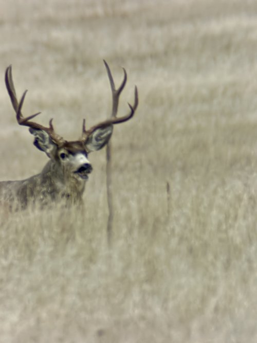 IMG_0283.JPG IMG_0283.JPG