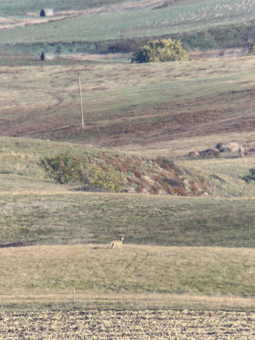 IMG_2003.JPG IMG_2003.JPG