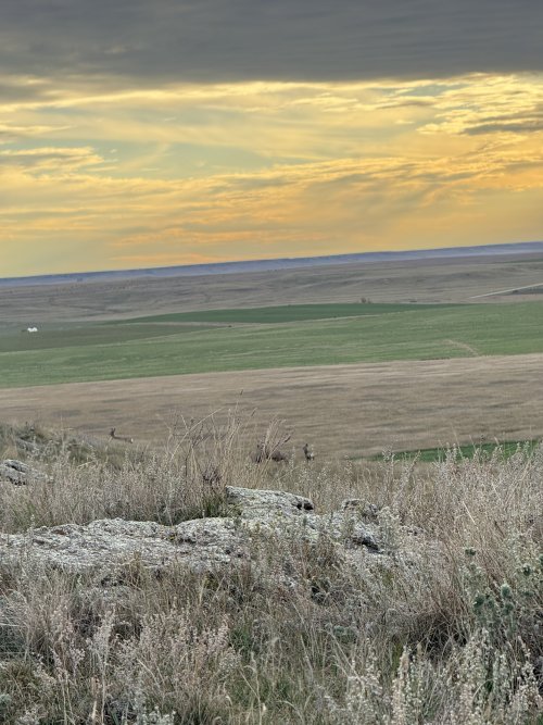 IMG_2015.JPG IMG_2015.JPG