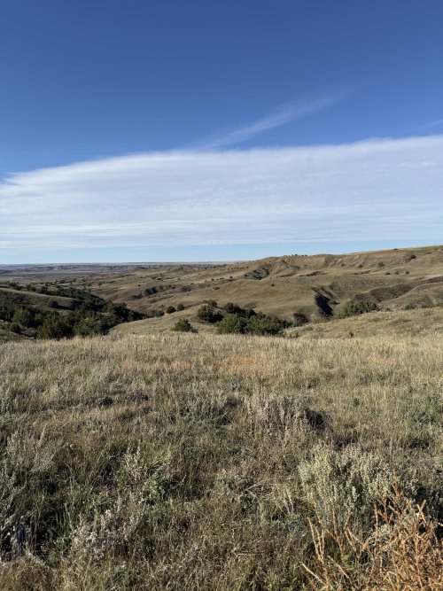 IMG_2011.JPG IMG_2011.JPG